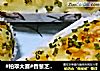 #柏翠大赛#香葱芝士火腿小面包的做法