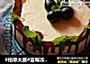 #柏翠大赛#蓝莓冻芝士蛋糕的做法