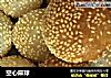 空心麻球的做法
