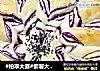 #柏翠大赛#紫薯大开花造型面包的做法