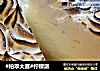 #柏翠大赛#柠檬派的做法