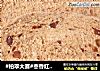 #柏翠大赛#枣香红糖全麦吐司--一键式健康吐司的做法