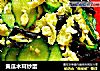 黄瓜木耳炒蛋的做法