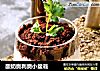 酸奶奥利奥小盆栽的做法