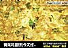 青菜鸡蛋饼|今天终于把那颗青菜吃啰的做法