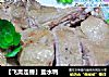 【飞禽走兽】盐水鸭的做法