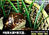 #柏翠大赛#春天里的小蘑菇一仿真蘑菇面包的做法
