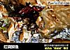 红烧鲟鱼的做法