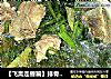 【飞禽走兽篇】排骨炖小白菜的做法