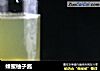 蜂蜜柚子酱的做法