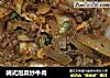 韩式泡菜炒牛肉的做法