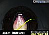 美美的《填塞洋葱》的做法