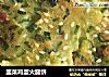 韭菜鸡蛋火腿饼的做法