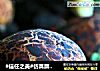 #信任之美#仿真蘑菇包的做法