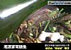 湘潭家常鳝鱼的做法