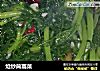 炝炒茼蒿菜的做法