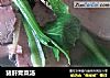 猪肝青菜汤的做法