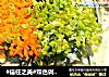 #信任之美#双色剁椒鱼头的做法