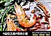#信任之美#麻辣小面的做法