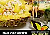 #信任之美#菠萝炒饭的做法