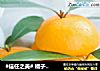 #信任之美# 橘子红了的做法
