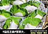 #信任之美#翡翠大白菜肉馅饺子的做法