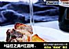 #信任之美#红酒烤羊排的做法