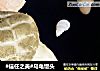 #信任之美#乌龟馒头的做法