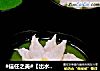 #信任之美#【出水芙蓉】鱼茸蛋羹的做法
