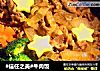 #信任之美#牛肉饭的做法