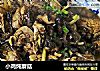 小鸡炖蘑菇的做法