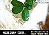 #信任之美#【淡奶油吐司】的做法