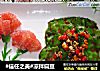 凉拌扁豆的做法
