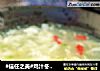 #信任之美#鸡汁冬茸汤的做法