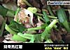 排骨蒸红薯的做法