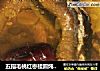 五指毛桃红枣桂圆炖黄蟮汤的做法