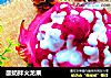 酸奶拌火龙果的做法