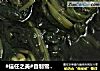 #信任之美#自制雪里蕻的做法