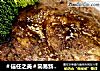 ＃信任之美＃简易新手版黑椒牛排，吃了变大力！--威厨艺的做法
