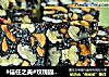#信任之美#玫瑰固元膏片的做法