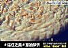 ＃信任之美＃葱油酥饼的做法