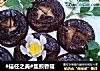 #信任之美#盐煎香菇的做法
