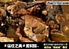＃信任之美＃酱焖鲶鱼茄子的做法