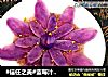 #信任之美#蓝莓汁紫山药的做法
