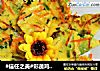 #信任之美#彩蔬鸡蛋饼的做法