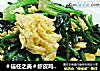 虾皮鸡蛋炒菠菜的做法