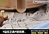 #信任之美#猪排蘑菇沙拉的做法