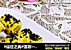 #信任之美#莲蓉一口酥的做法