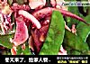冬天来了，给家人餐桌加点绿色新鲜的鱿鱼四季豆的做法