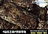 #信任之美#香酥带鱼的做法